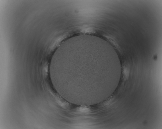 X0000112890668200908281702