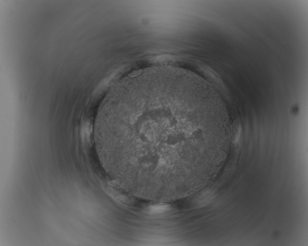X0000112890669200908281702