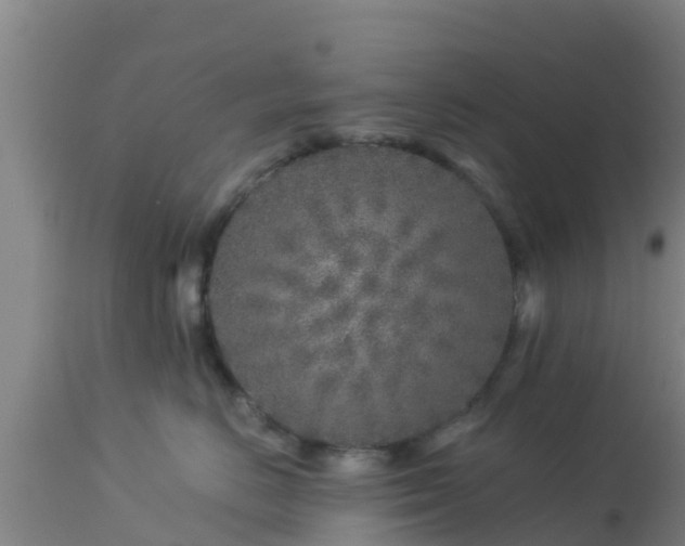 X0000112890670200908281702