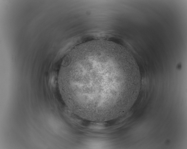 X0000112890671200908281702