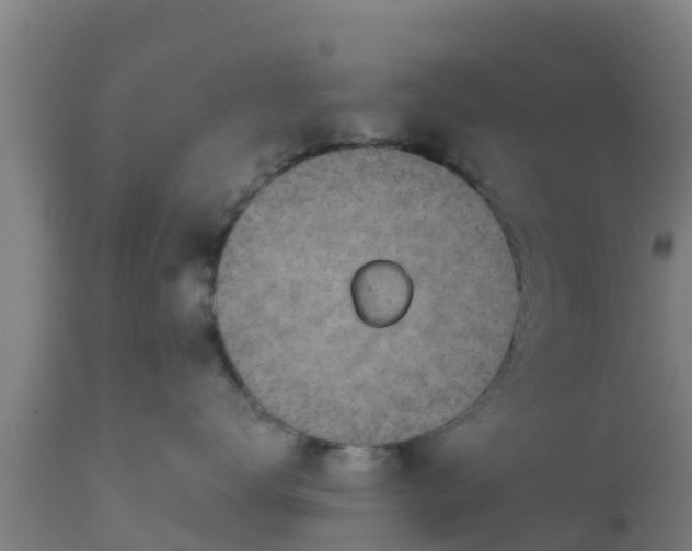 X0000112890672200908281702