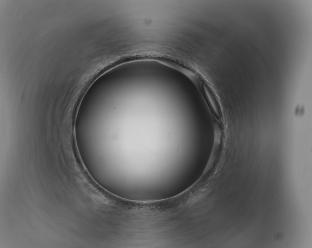 X0000112890673200908281701