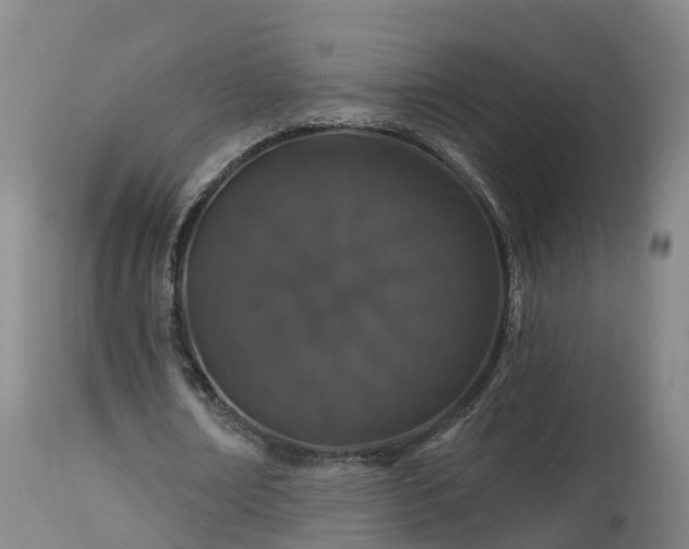 X0000112890674200908281701