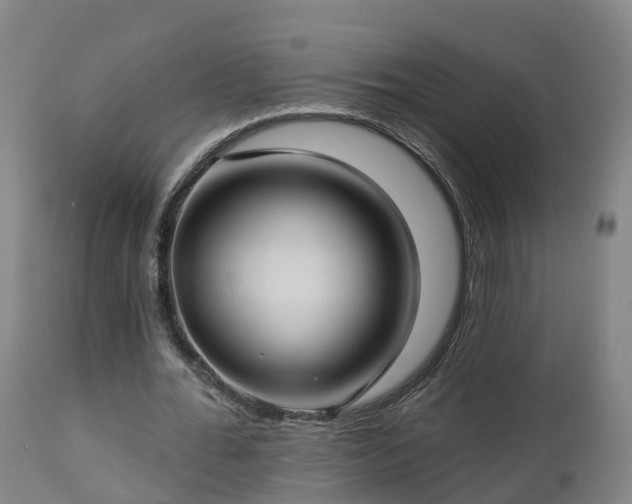 X0000112890676200908281701