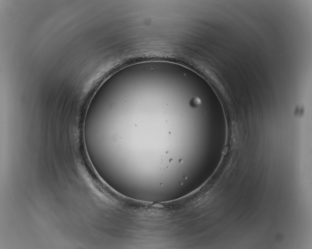 X0000112890677200908281701