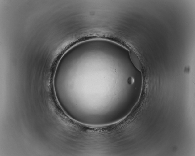 X0000112890679200908281701