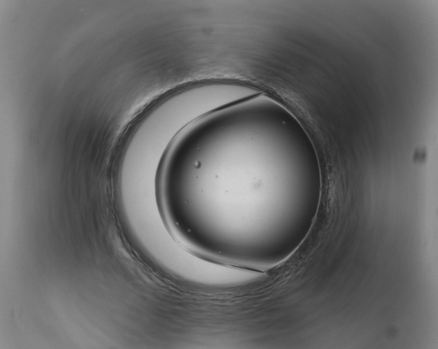 X0000112890680200908281701