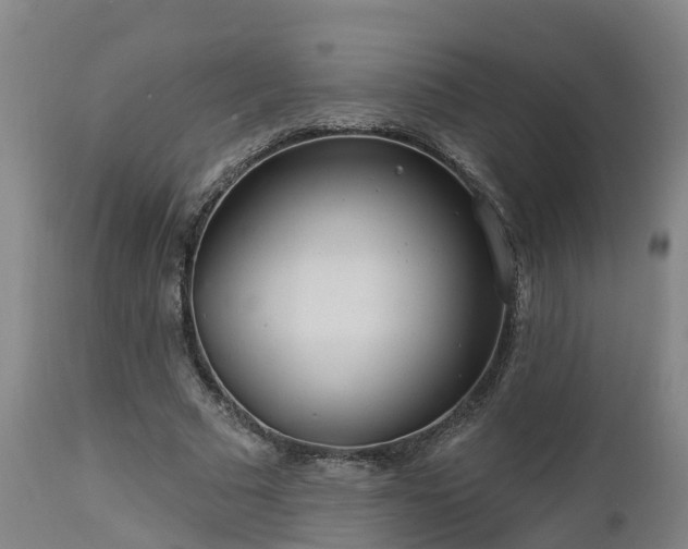 X0000112890681200908281701
