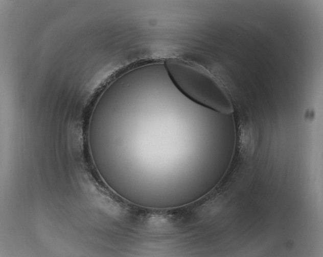 X0000112890684200908281701