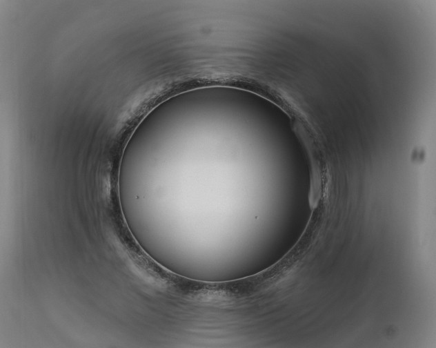 X0000112890685200908281701