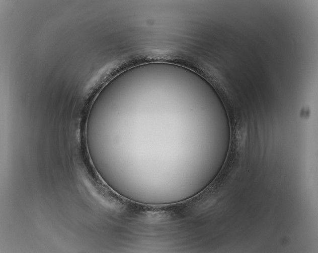 X0000112890686200908281701