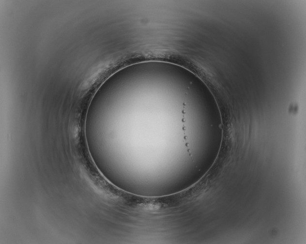 X0000112890687200908281701