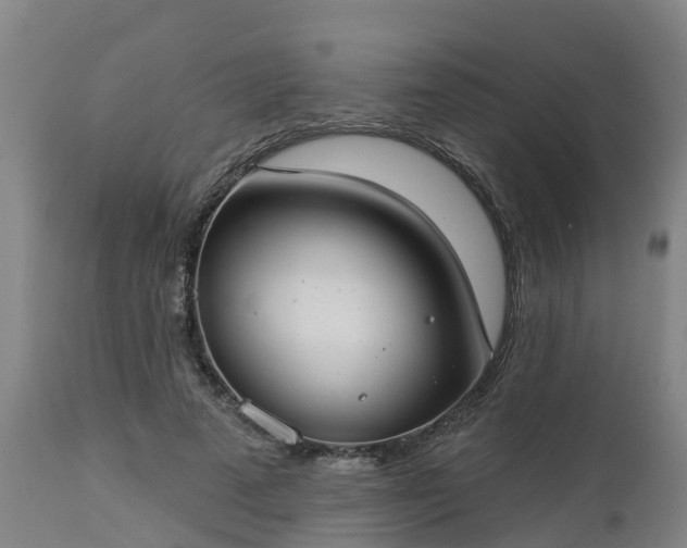 X0000112890689200908281701