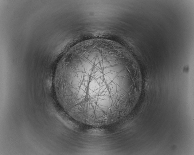 X0000112890691200908281701