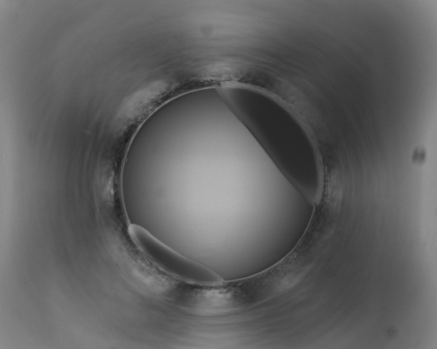 X0000112890692200908281701
