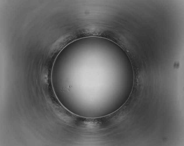 X0000112890693200908281701
