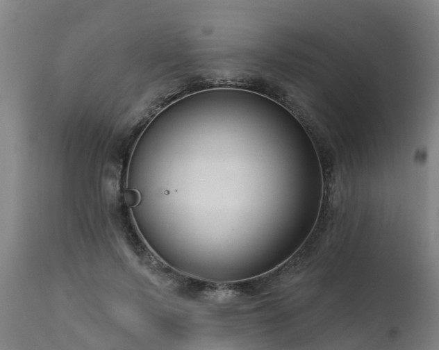 X0000112890695200908281701
