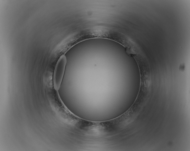 X0000112890696200908281701