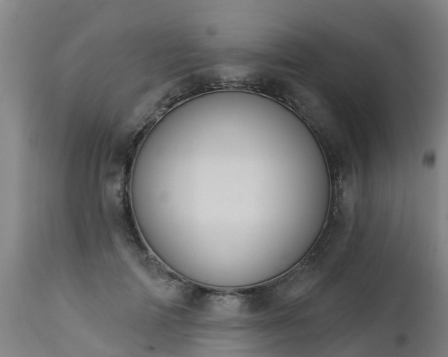 X0000112890698200908281701