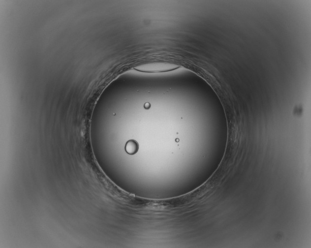 X0000112890701200908281701