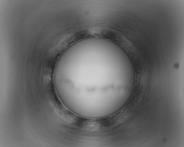 X0000112890702200908281701