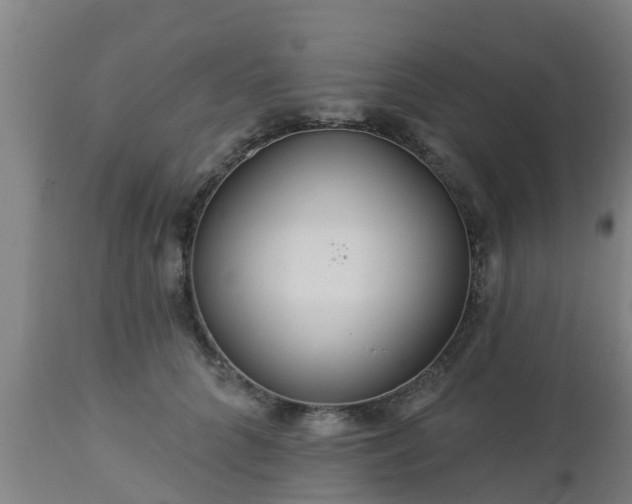 X0000112890704200908281701
