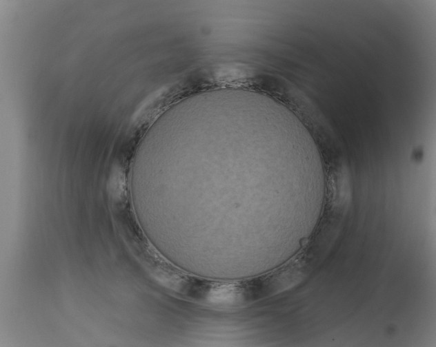X0000112890705200908281701