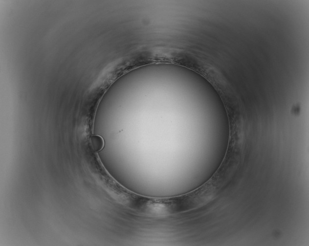 X0000112890706200908281701