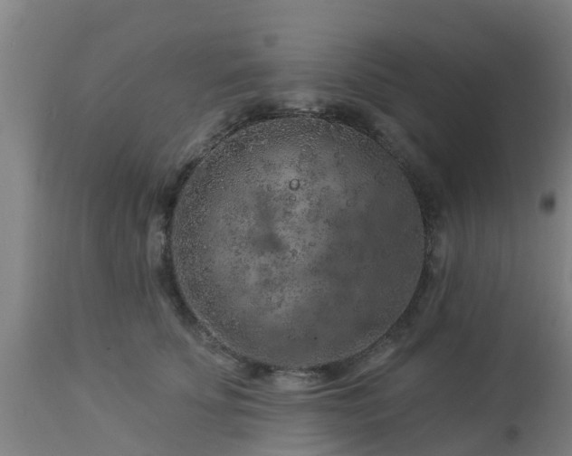 X0000112890707200908281701