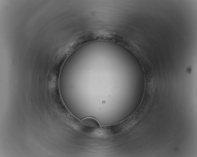 X0000112890708200908281701