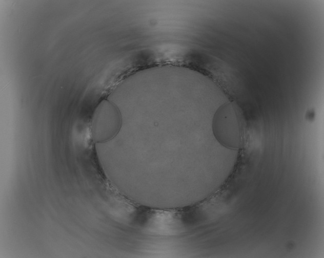 X0000112890709200908281701