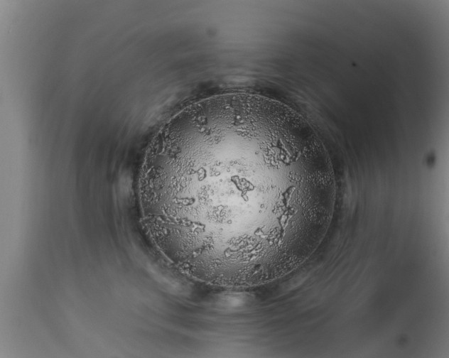 X0000112890711200908281700