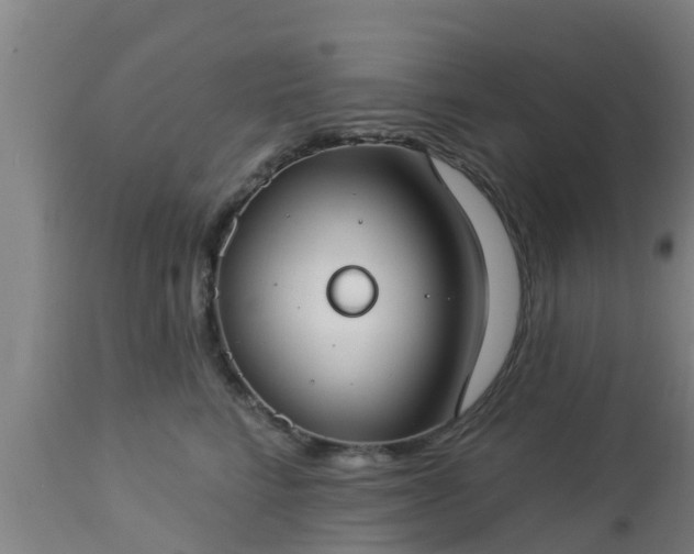 X0000112890712200908281700