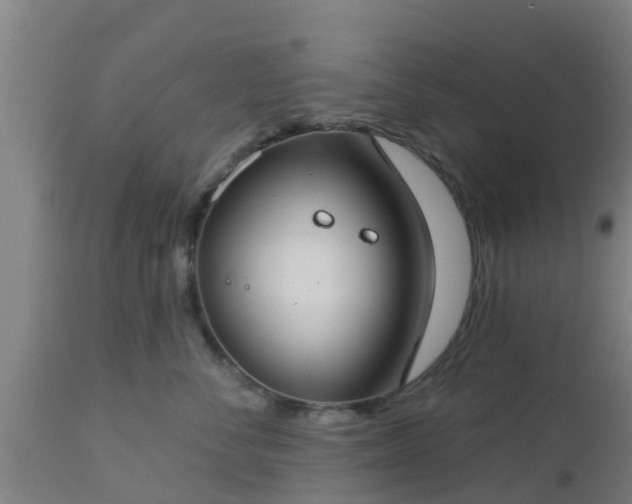 X0000112890716200908281700
