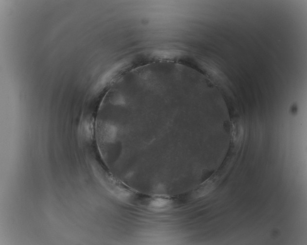 X0000112890718200908281700
