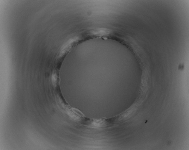 X0000112890720200908281700