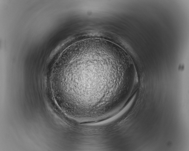 X0000112890722200908281700