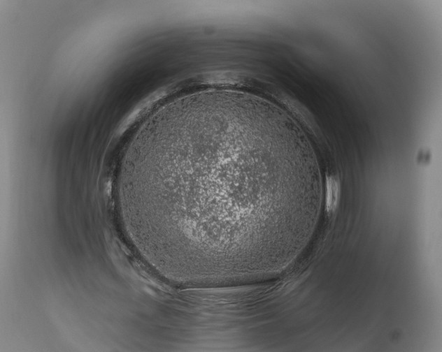X0000112890723200908281700