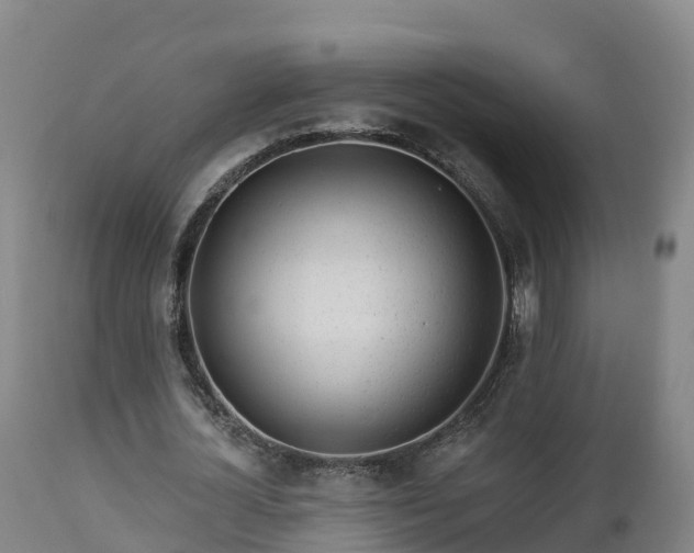 X0000112890724200908281700