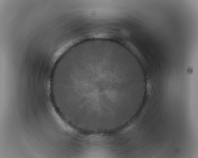 X0000112890725200908281700