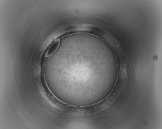 X0000112890726200908281700