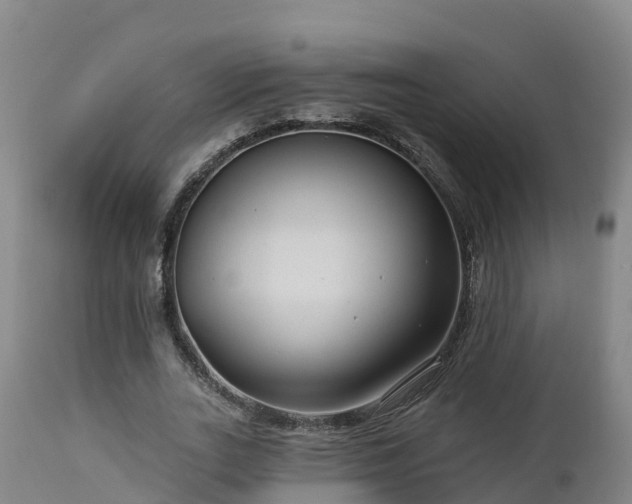 X0000112890727200908281700