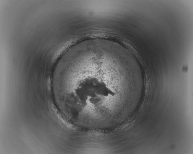 X0000112890729200908281700