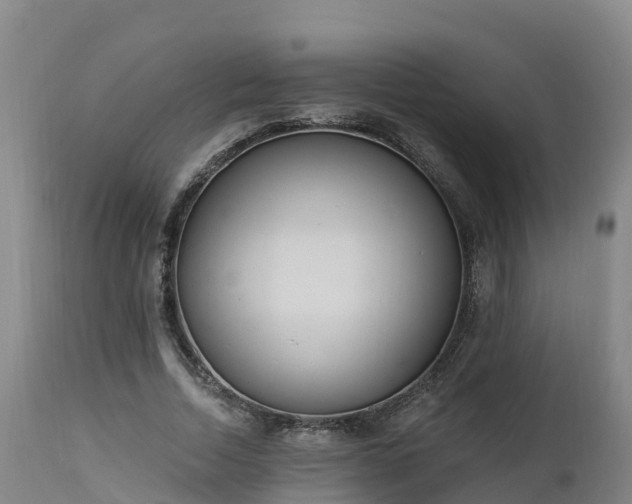 X0000112890730200908281700