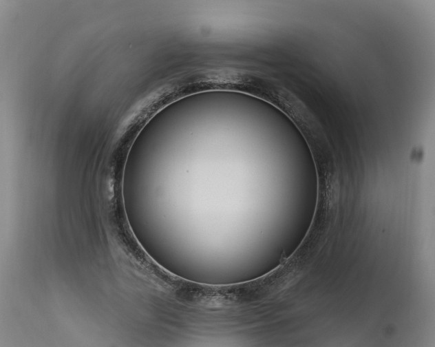 X0000112890731200908281700