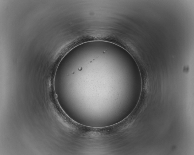 X0000112890733200908281700