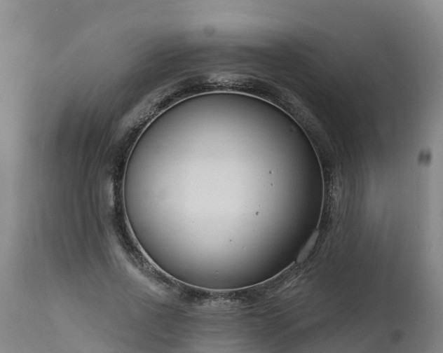 X0000112890734200908281700