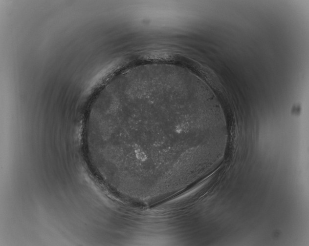 X0000112890735200908281700