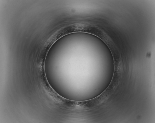 X0000112890737200908281700