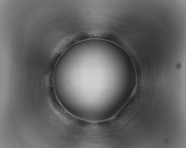 X0000112890738200908281700